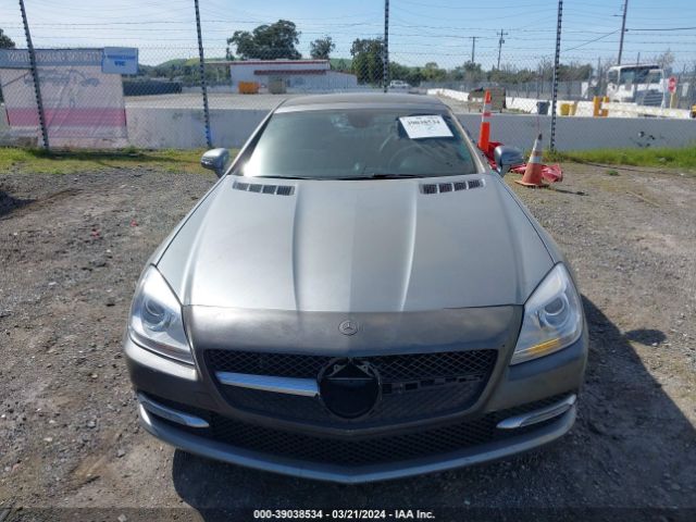 WDDPK4HA3EF077579 Mercedes-Benz SLK 250