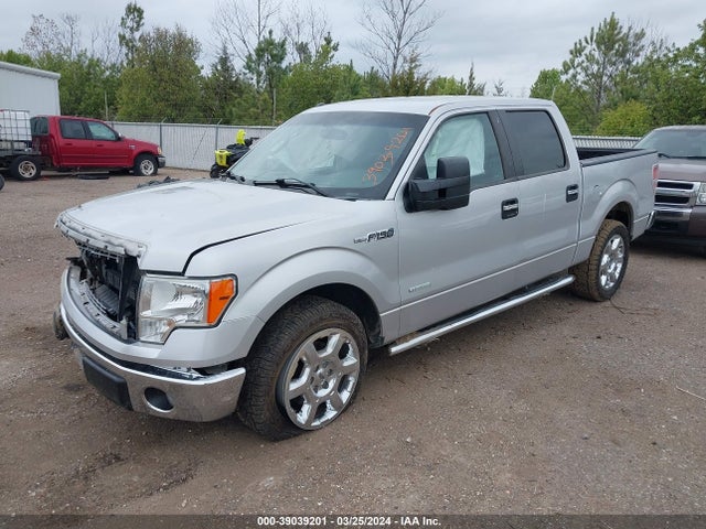 Ford F-150 Xlt 2014 1FTFW1CT2EKD36233 Image 2