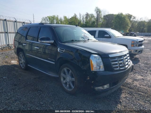 Auction sale of the 2010 Cadillac Escalade Standard, vin: 1GYUCAEF3AR182022, lot number: 39039385