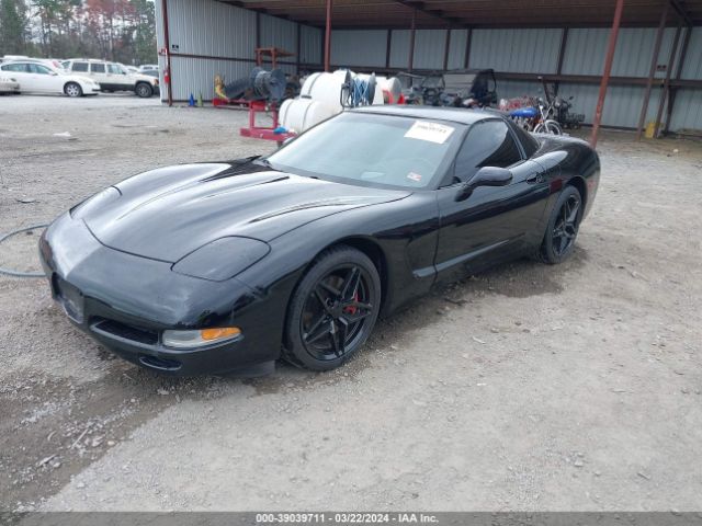 2002 CHEVROLET CORVETTE 1G1YY22G725122032 Photo 1