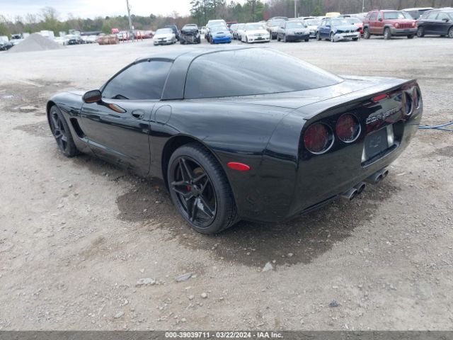 2002 CHEVROLET CORVETTE 1G1YY22G725122032 Photo 2