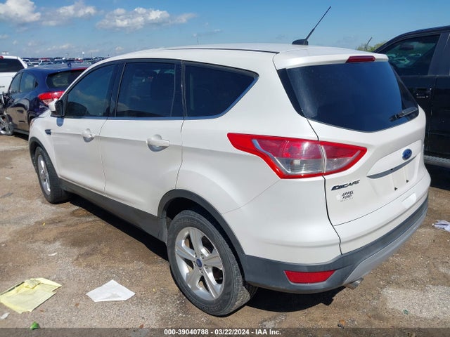 Ford ESCAPE SE 2014 1FMCU0GX3EUE39323 Image 3