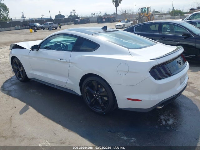 Ford Mustang Ecoboost Fastback 2023 1FA6P8TH9P5112661 Image 3