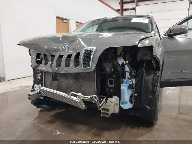 Jeep Cherokee Limited 4x4 2020 1C4PJMDX7LD524155 Image 6