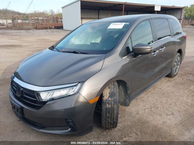 5FNRL6H76MB042635 Honda Odyssey Ex-l