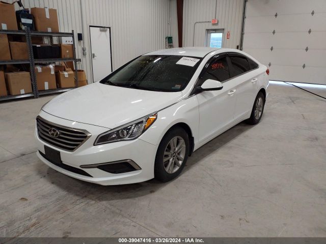 5NPE24AF5GH337710 Hyundai SONATA SE