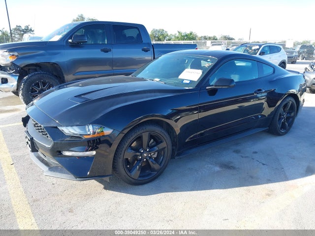 Ford Mustang Ecoboost Fastback 2021 1FA6P8TH5M5119117 Image 2