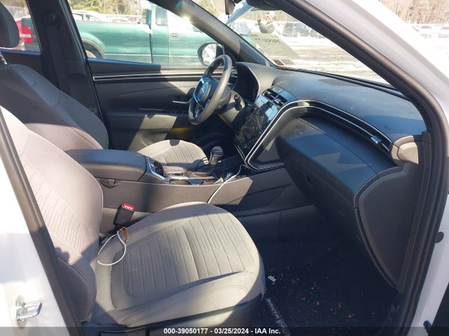 Hyundai Santa Cruz Sel 2024 5NTJBDAE7RH084402 Image 5