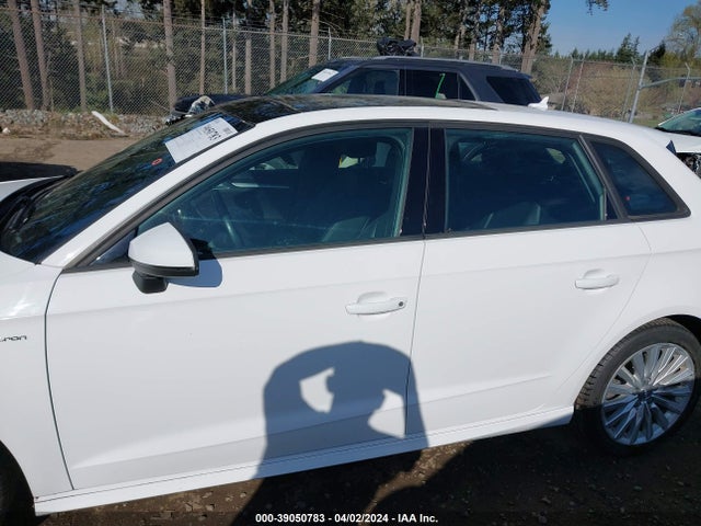 WAUUPBFF0GA066926 Audi A3 E-tron 1.4t Premium