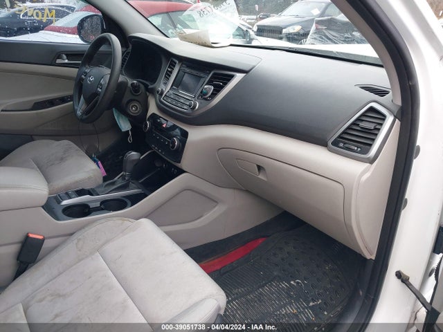 Hyundai Tucson Eco 2017 KM8J3CA25HU289888 Image 5