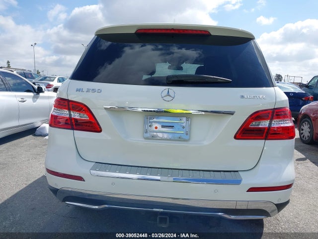 Mercedes-Benz Ml 250 Bluetec 4matic 2015 4JGDA0EB4FA561048 Image 16