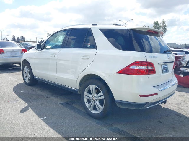 Mercedes-Benz Ml 250 Bluetec 4matic 2015 4JGDA0EB4FA561048 Image 3