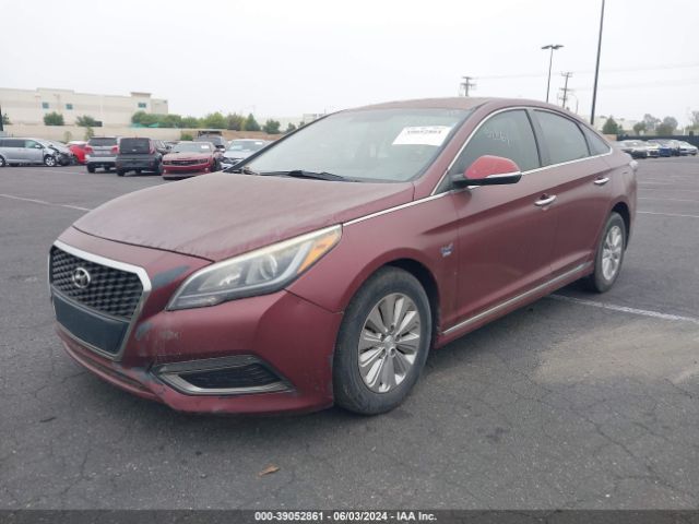 KMHE24L13GA011277 Hyundai Sonata Hybrid Se