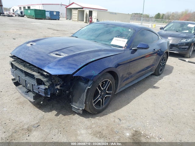 Ford Mustang Ecoboost 2019 1FA6P8TH7K5133453 Image 2