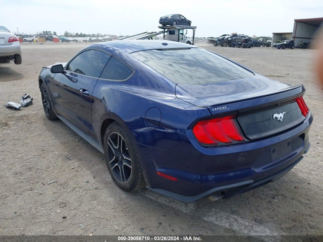 Ford Mustang Ecoboost 2019 1FA6P8TH7K5133453 Image 3