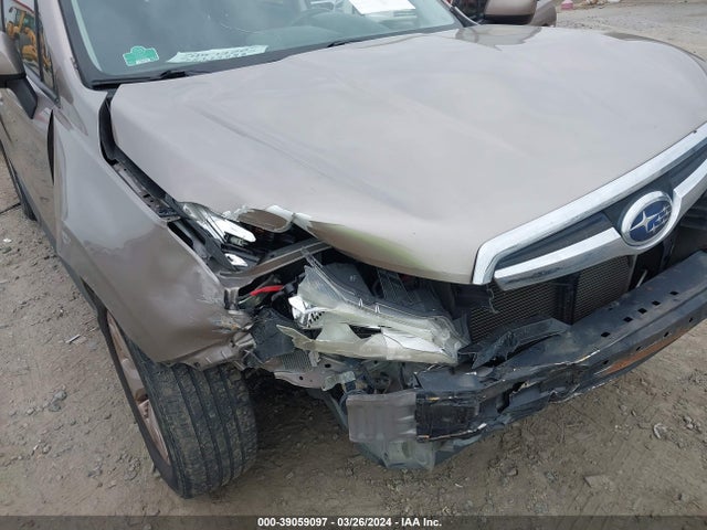 Subaru Forester 2.5i Premium 2015 JF2SJADCXFH463498 Image 6