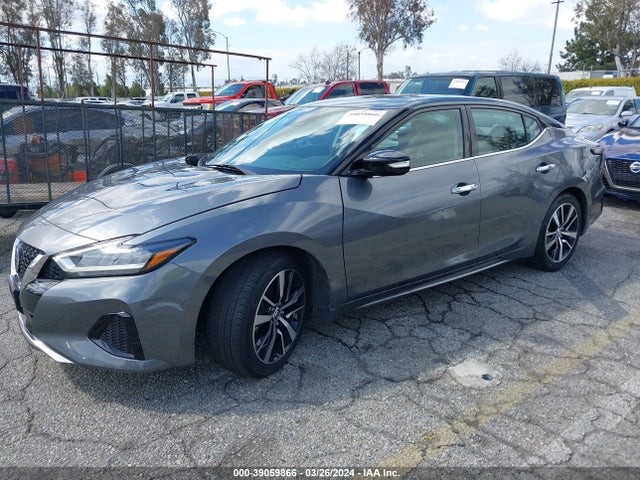 Nissan MAXIMA SV 2021 1N4AA6CV6MC515977 Image 2