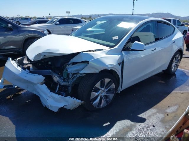 2023 TESLA MODEL Y 7SAYGDEE4PA108062 Photo 1