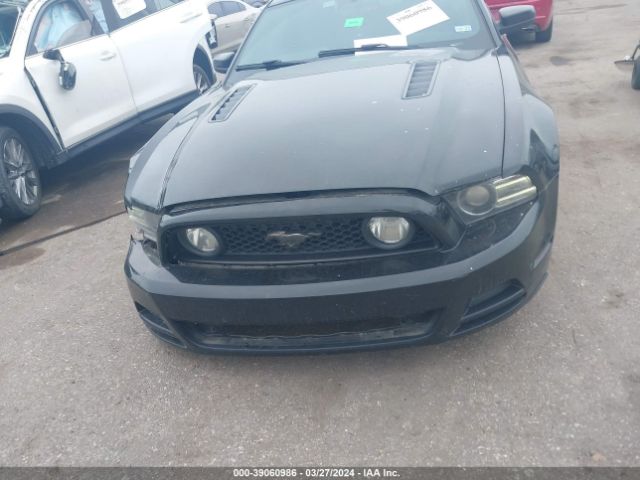 1ZVBP8CF6E5270019 Ford Mustang Gt Premium