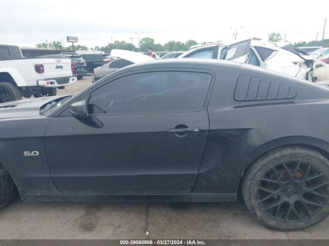 1ZVBP8CF6E5270019 Ford Mustang Gt Premium
