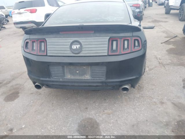 1ZVBP8CF6E5270019 Ford Mustang Gt Premium