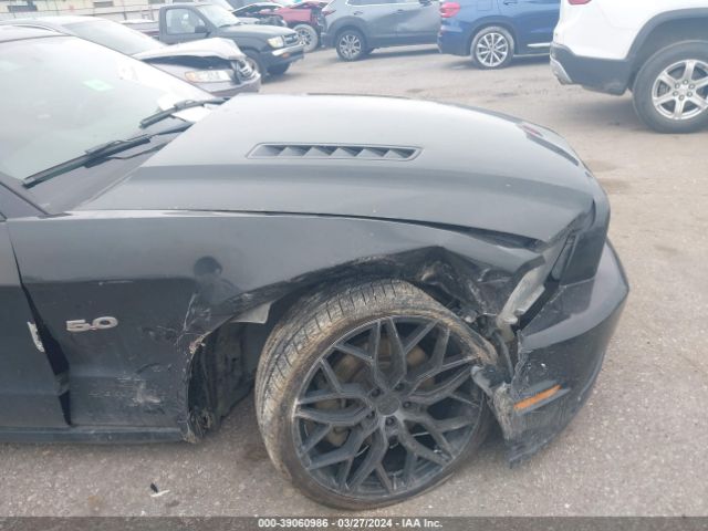 1ZVBP8CF6E5270019 Ford Mustang Gt Premium