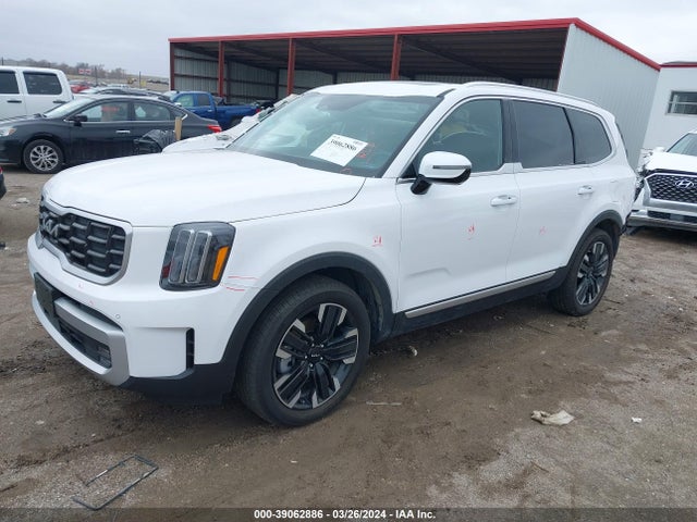 KIA Telluride Sx 2024 5XYP5DGC1RG460590 Image 2