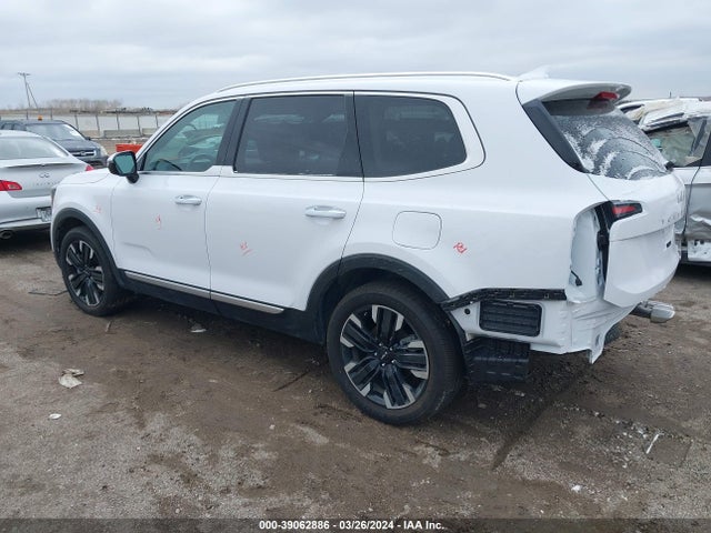 KIA Telluride Sx 2024 5XYP5DGC1RG460590 Image 3