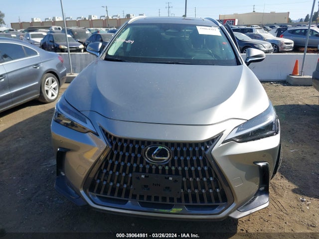 Lexus Nx 250 Premium 2024 2T2GDCAZ3RC008125 Image 12