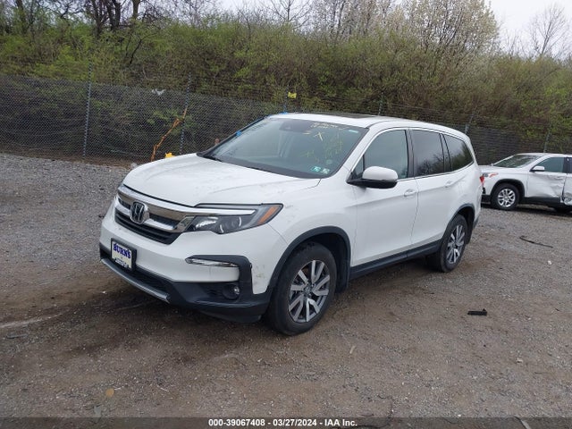Honda Pilot Awd Ex-l 2021 5FNYF6H56MB102169 Image 2