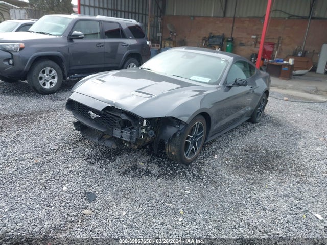 Ford Mustang Ecoboost Fastback 2022 1FA6P8TH5N5145797 Image 2