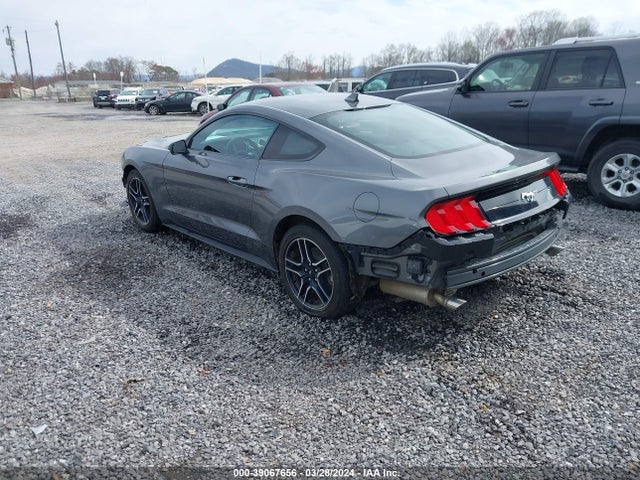 Ford Mustang Ecoboost Fastback 2022 1FA6P8TH5N5145797 Image 3