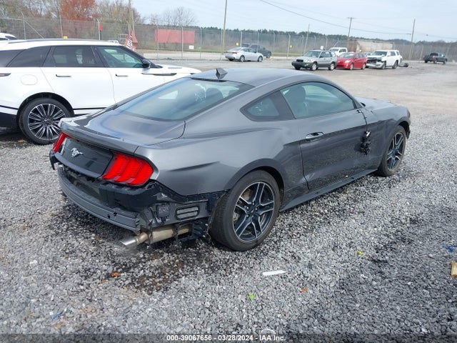 Ford Mustang Ecoboost Fastback 2022 1FA6P8TH5N5145797 Image 4