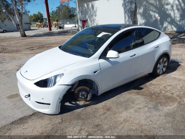 2021 TESLA MODEL Y 5YJYGDEE2MF302388 Photo 1