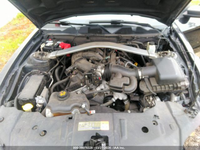 1ZVBP8EM1E5297107 Ford Mustang V6