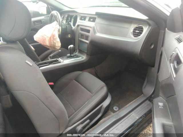 1ZVBP8EM1E5297107 Ford Mustang V6