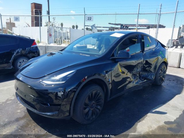 7SAYGDED5RF010199 Tesla Model Y Rwd