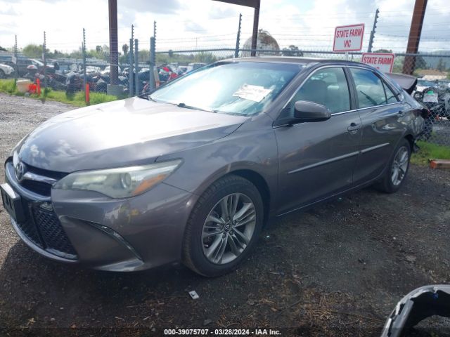 4T1BF1FK8GU183006 Toyota CAMRY SE