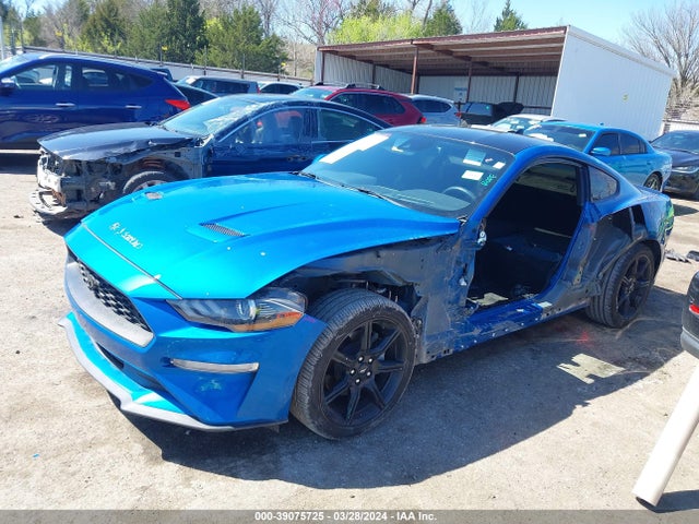 Ford Mustang Ecoboost Fastback 2020 1FA6P8TH4L5159820 Image 2