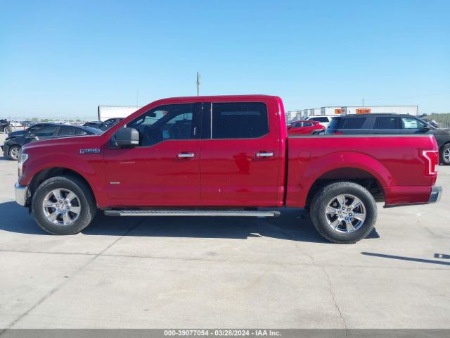 1FTEW1CP5FKD15330 Ford F-150 Xlt