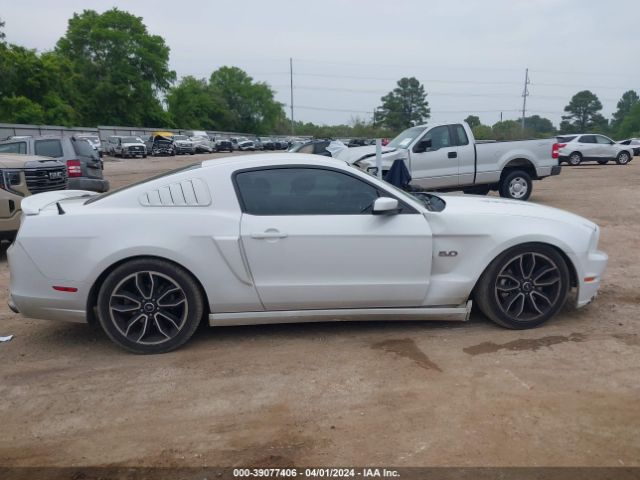 1ZVBP8CF2E5274763 Ford Mustang Gt Premium
