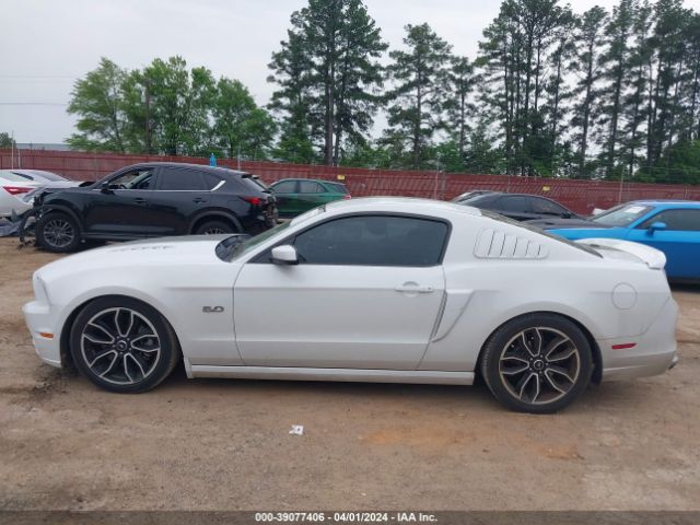1ZVBP8CF2E5274763 Ford Mustang Gt Premium