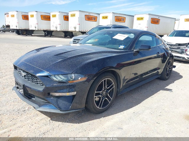 Ford Mustang Ecoboost Fastback 2021 1FA6P8TH7M5158260 Image 2