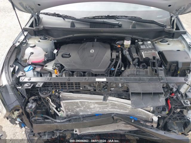 5XYK6CDF1RG167837 KIA Sportage X-line