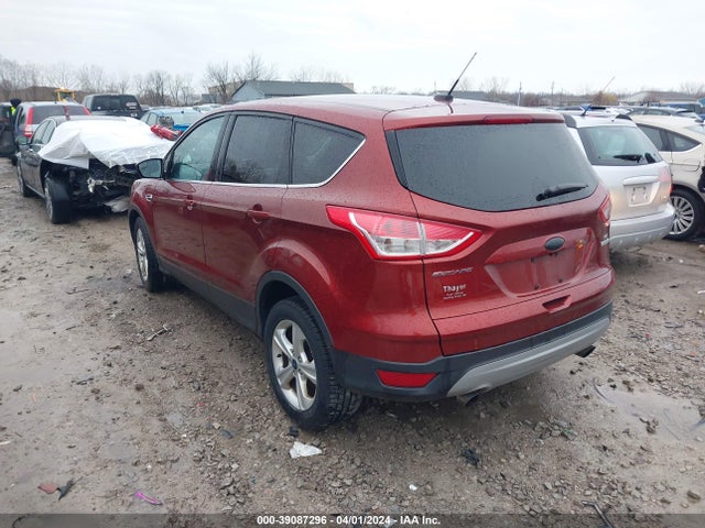 Ford ESCAPE SE 2014 1FMCU0GXXEUC75245 Image 3