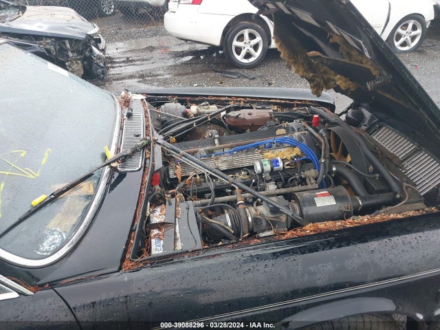 1985 JAGUAR XJ6 SAJAV1346FC412832 Photo 9