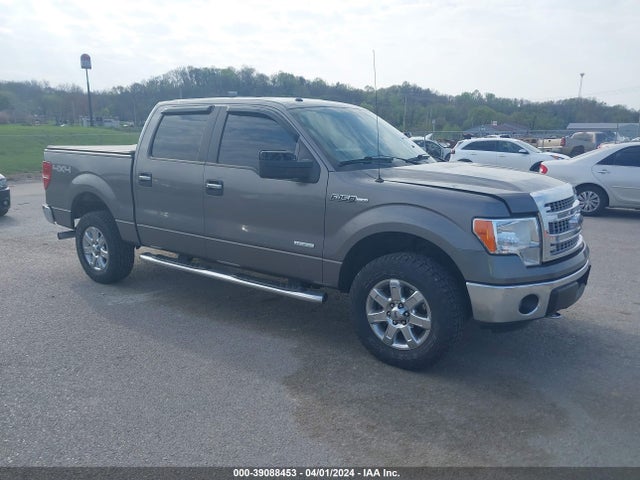 Ford F-150 Xlt 2014 1FTFW1ET7EKD74490 Image 1