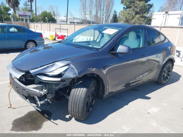2023 TESLA MODEL Y 7SAYGAEE5PF830562 Photo 1
