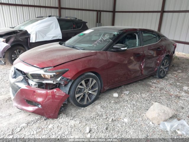 1N4AA6AP0GC399765 Nissan Maxima 3.5 Sl
