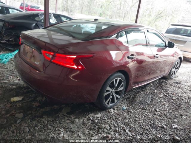 1N4AA6AP0GC399765 Nissan Maxima 3.5 Sl